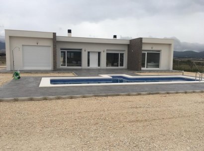 Villa · New Build - Pinoso · Camino Del Prado · Alicante · Spain