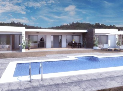Villa · New Build - Pinoso · Camino Del Prado · Alicante · Spain