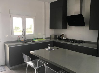 Villa · New Build - Pinoso · Camino Del Prado · Alicante · Spain