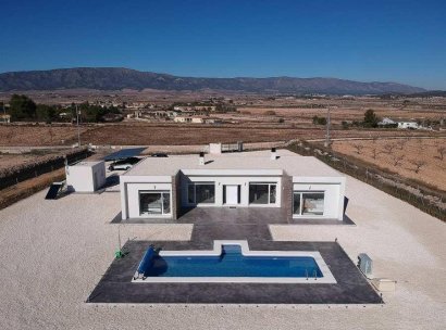 Villa · New Build - Pinoso · Camino Del Prado · Alicante · Spain