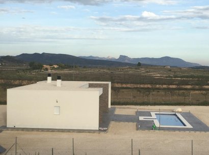 Villa · New Build - Pinoso · Camino Del Prado · Alicante · Spain