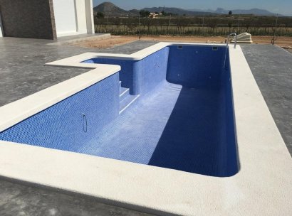 Villa · New Build - Pinoso · Camino Del Prado · Alicante · Spain