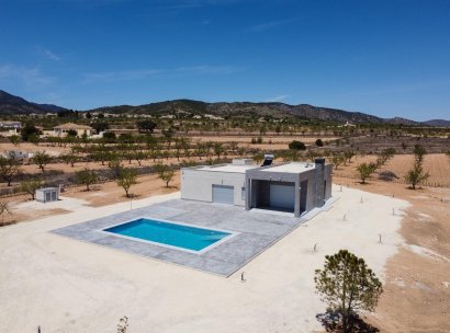 Villa · New Build - Pinoso · Camino Del Prado · Alicante · Spain