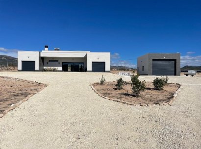 Villa · New Build - Pinoso · Camino Del Prado · Alicante · Spain