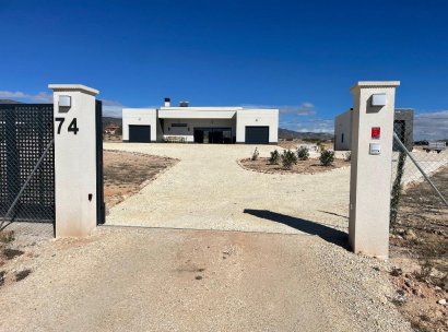 Villa · New Build - Pinoso · Camino Del Prado · Alicante · Spain
