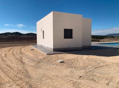 Villa · New Build - Pinoso · Camino Del Prado · Alicante · Spain