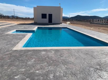 Villa · New Build - Pinoso · Camino Del Prado · Alicante · Spain