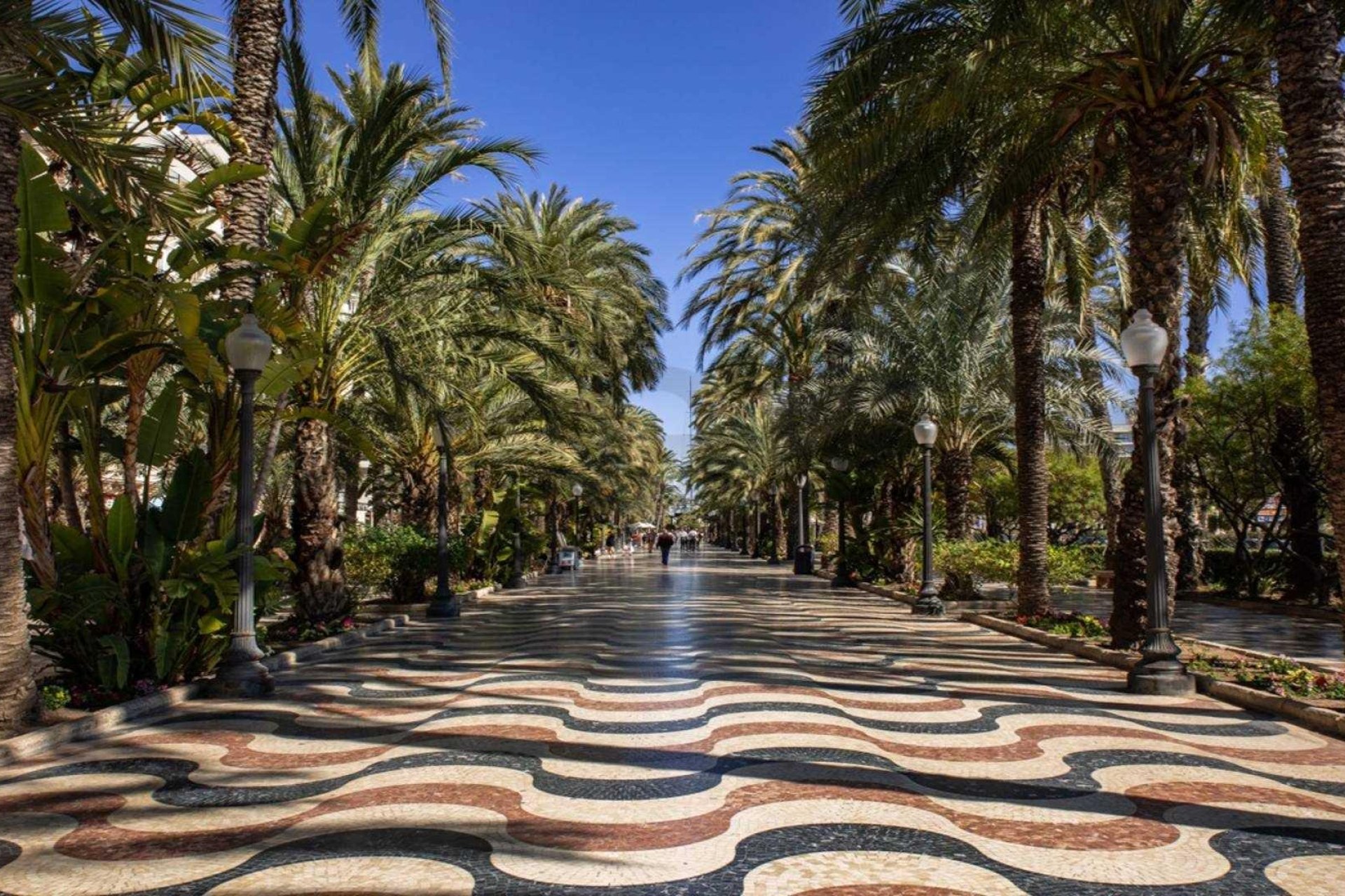 Nieuwbouw Woningen - Penthouse - Torrevieja - Costa Blanca South