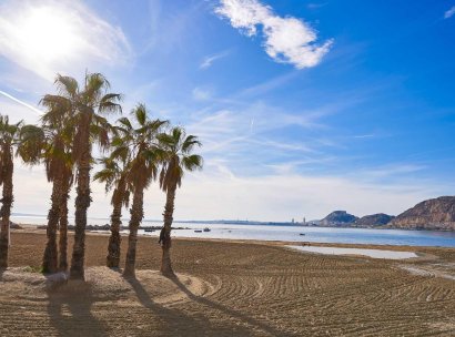 Villa · New Build - Els Poblets · Partida Barranquets · Alicante · Spain