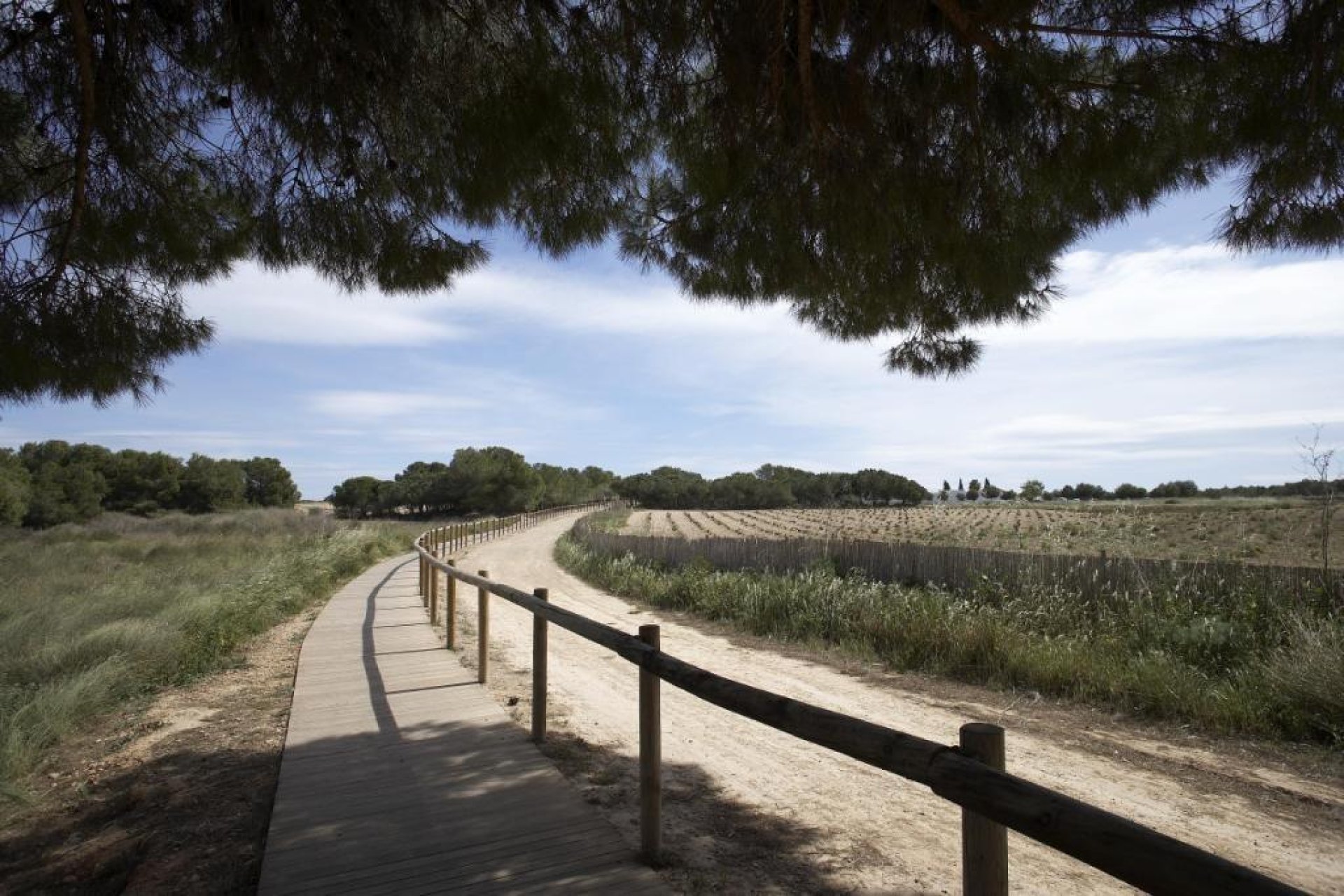 Nybyggnation - Bungalow - Torrevieja - Costa Blanca South
