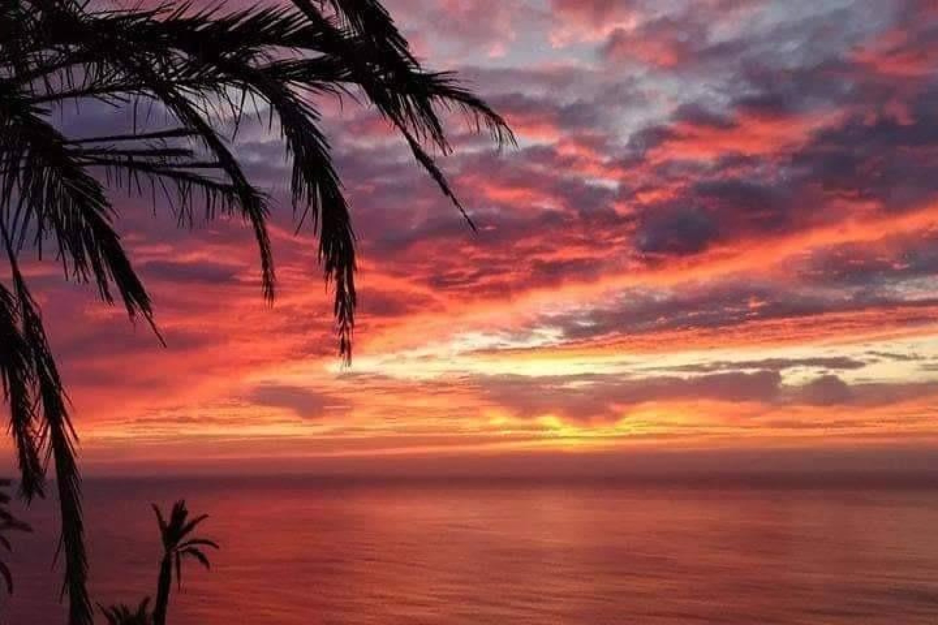 Nybyggnation - Bungalow - Torrevieja - Costa Blanca South