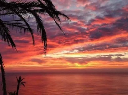 Bungalow · Nieuwbouw Woningen - Torrevieja · Altos del Sol · Alicante · Spanje