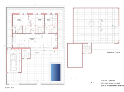 Villa · Obra nueva - Fuente Alamo · La Pinilla · Murcia · España