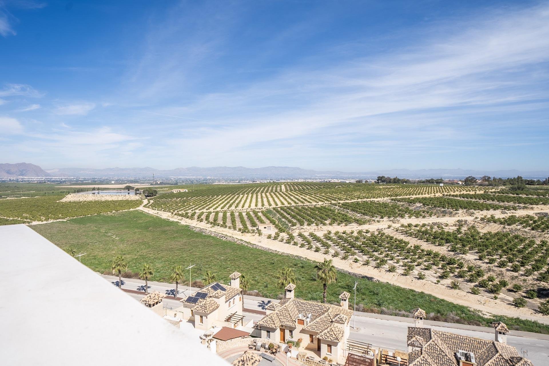 New Build - Villa - La Finca Golf