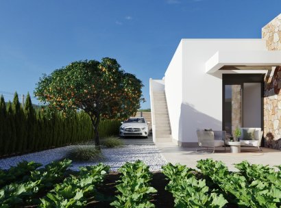 Villa · New Build - Fuente Alamo · Hacienda del Alamo · Murcia · Spain
