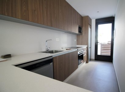 Town house · New Build - Pilar de la Horadada · parque Andromeda · Alicante · Spain