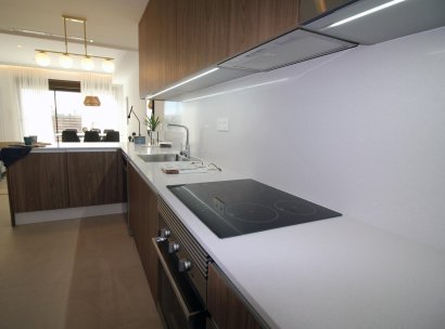 Town house · New Build - Pilar de la Horadada · parque Andromeda · Alicante · Spain