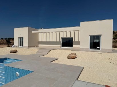 Villa · Nieuwbouw Woningen - Pinoso · Camino Del Prado · Alicante · Spanje