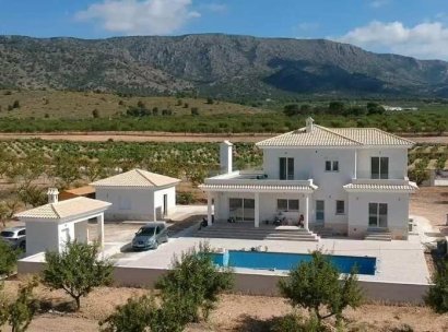Villa · Nieuwbouw Woningen - Pinoso · Camino Del Prado · Alicante · Spanje
