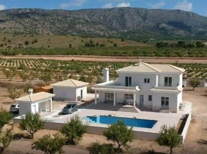 Villa · Nieuwbouw Woningen - Pinoso · Camino Del Prado · Alicante · Spanje