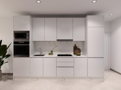 Penthouse · Nieuwbouw Woningen - Torrevieja · Centro · Alicante · Spanje