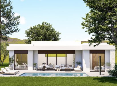 Villa · Nieuwbouw Woningen - Pinoso · Lel · Alicante · Spanje