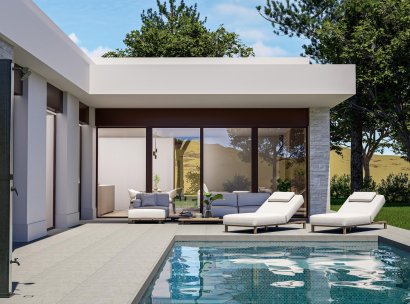 Villa · Nieuwbouw Woningen - Pinoso · Lel · Alicante · Spanje