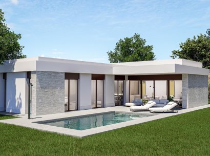 Villa · Nieuwbouw Woningen - Pinoso · Lel · Alicante · Spanje