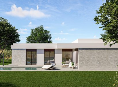 Villa · Nieuwbouw Woningen - Pinoso · Lel · Alicante · Spanje