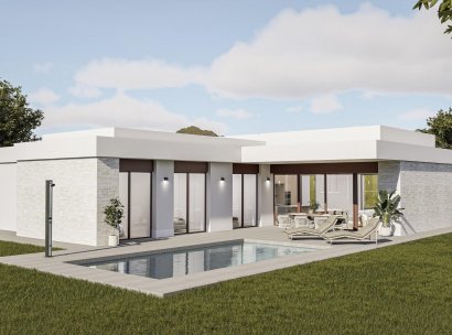 Villa · Nieuwbouw Woningen - Pinoso · Lel · Alicante · Spanje