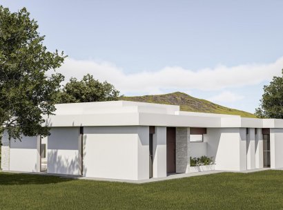 Villa · Nieuwbouw Woningen - Pinoso · Lel · Alicante · Spanje
