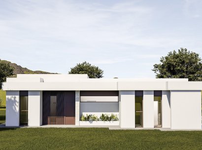 Villa · Nieuwbouw Woningen - Pinoso · Lel · Alicante · Spanje