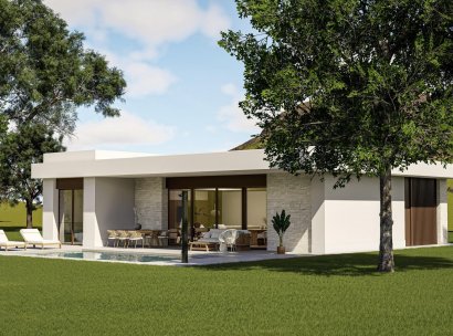 Villa · Nieuwbouw Woningen - Pinoso · Lel · Alicante · Spanje