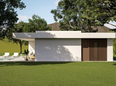 Villa · Nieuwbouw Woningen - Pinoso · Lel · Alicante · Spanje