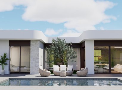 Villa · Nieuwbouw Woningen - Pinoso · Lel · Alicante · Spanje