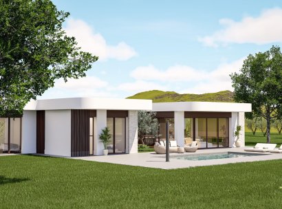 Villa · Nieuwbouw Woningen - Pinoso · Lel · Alicante · Spanje