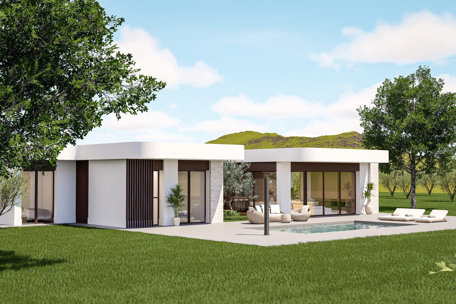 Obra nueva - Villa - Pinoso