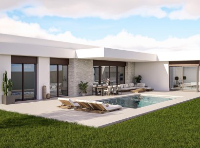 Villa · Nieuwbouw Woningen - Pinoso · Lel · Alicante · Spanje