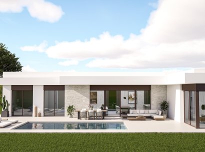 Villa · Nieuwbouw Woningen - Pinoso · Lel · Alicante · Spanje