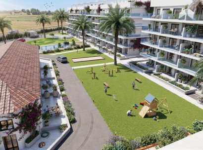 Takvåning · Nybyggnation - Guardamar del Segura · El Raso · Alicante · Spanien