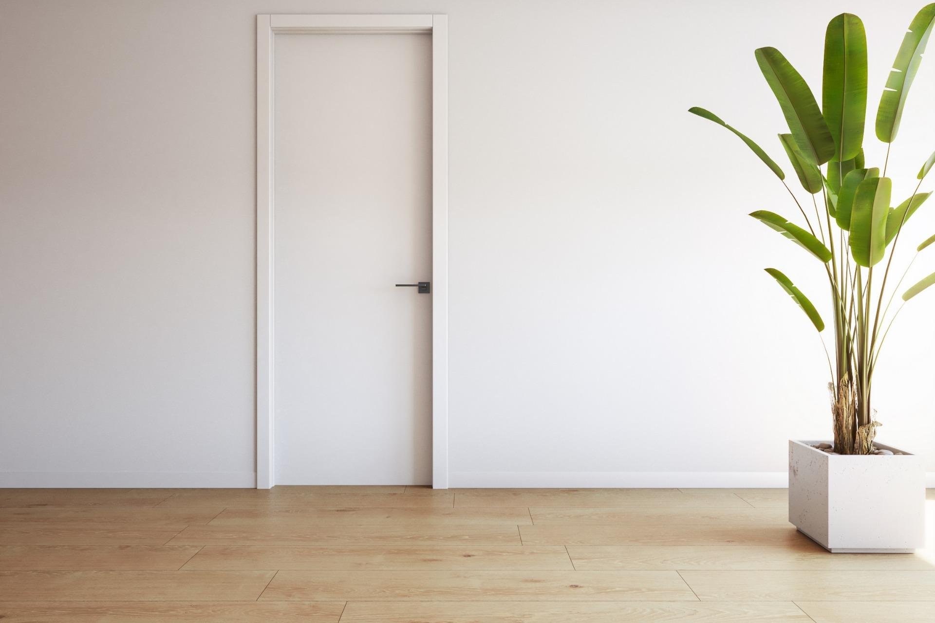 Nieuwbouw Woningen - Penthouse - Torrevieja - Costa Blanca South