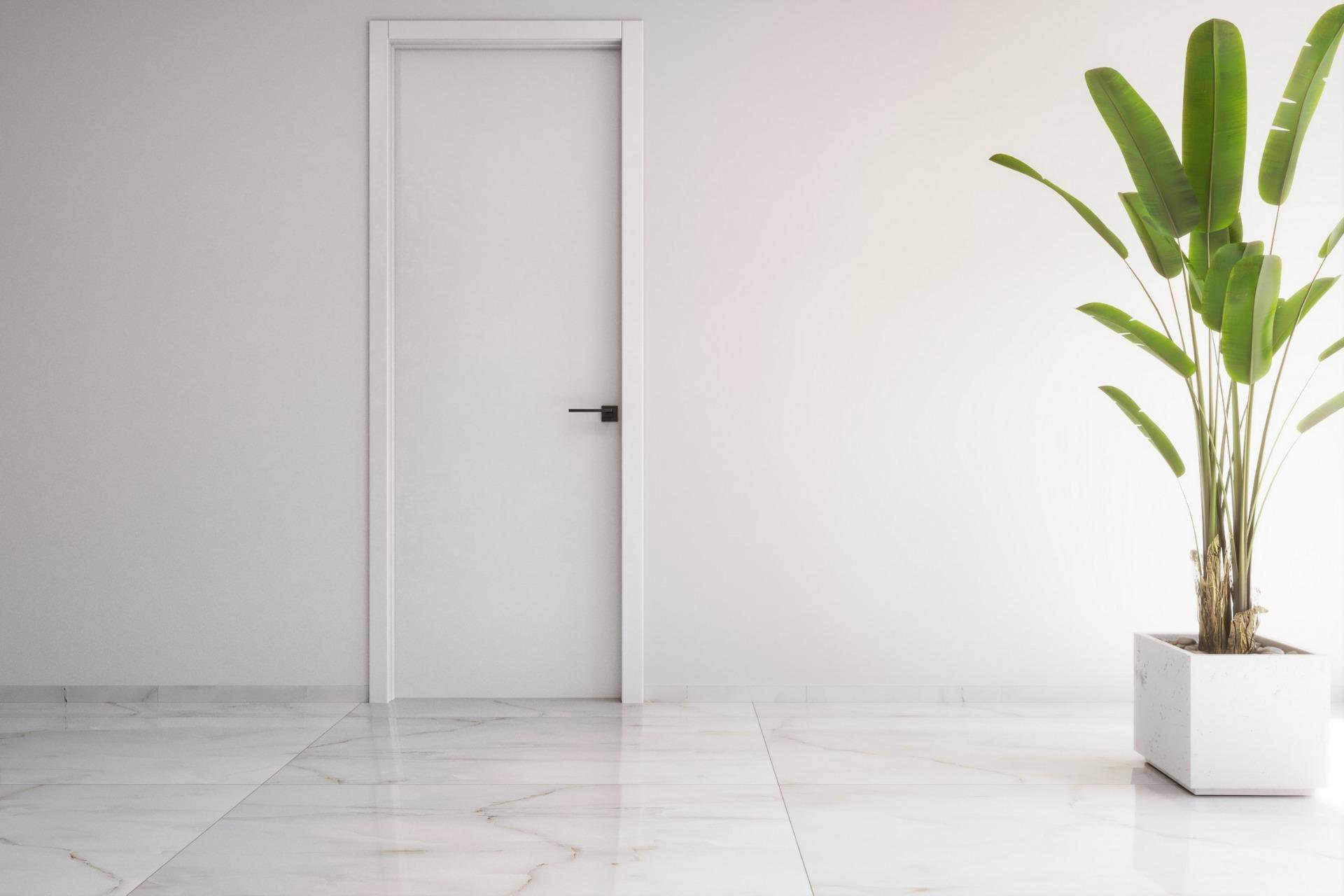 Nieuwbouw Woningen - Penthouse - Torrevieja - Costa Blanca South