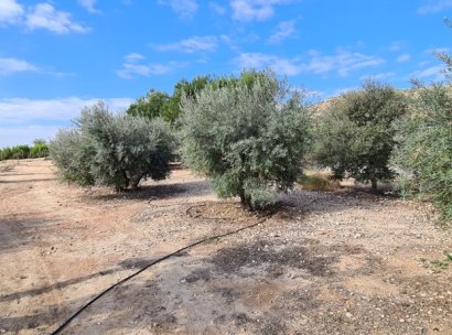 Villa · Resale - Orihuela · La Matanza · Alicante · Spain