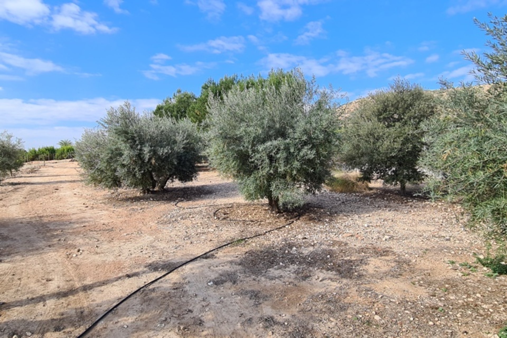 Herverkoop - Villa - Orihuela - Costa Blanca South