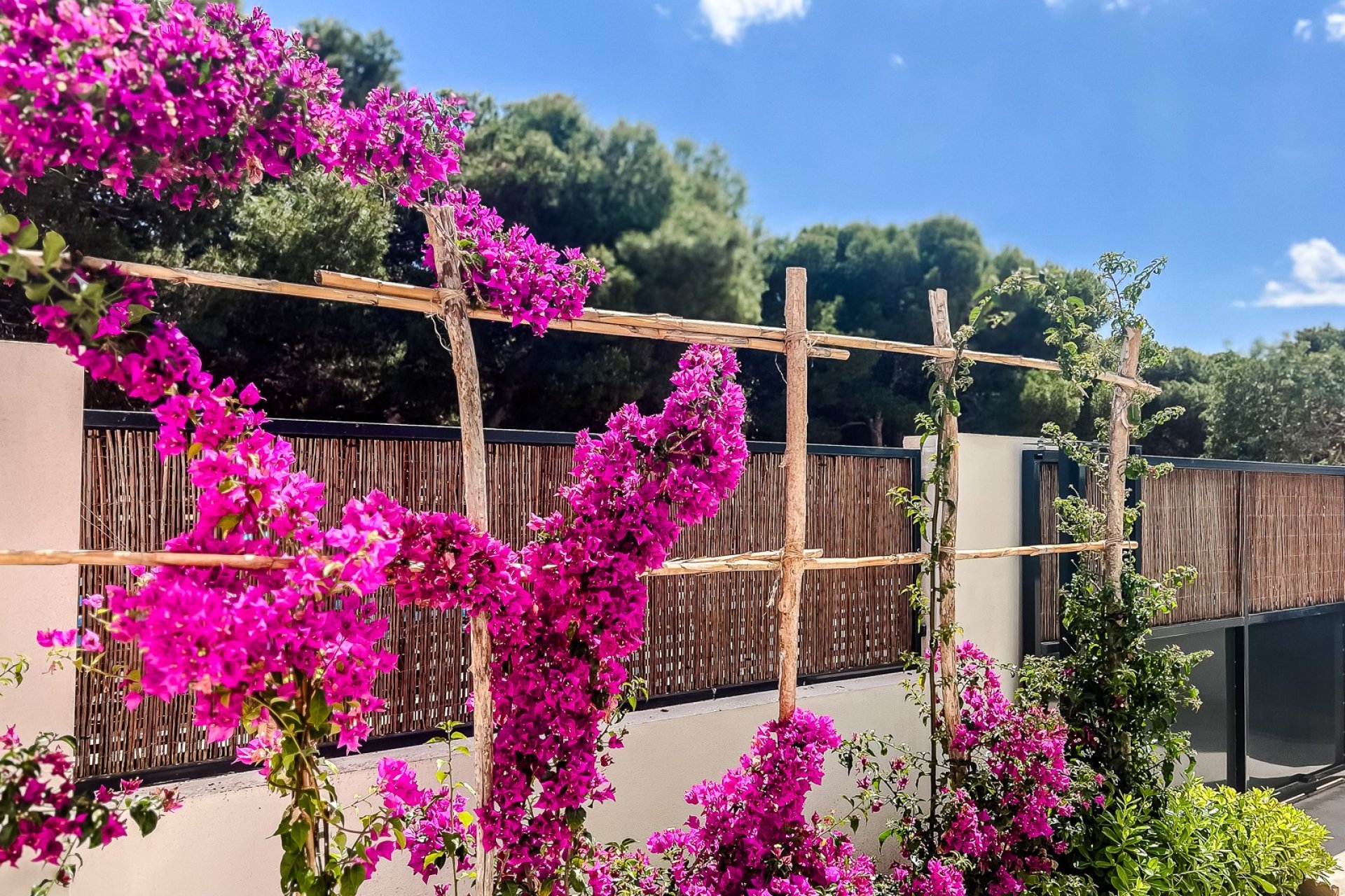 Resale - Apartment - Santiago de la Ribera - Costa Calida