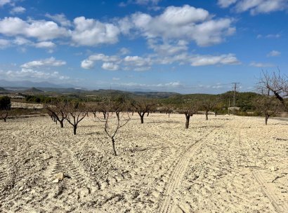 Land · Resale - Bullas · Costa Calida · Murcia / Costa Calida · Spain