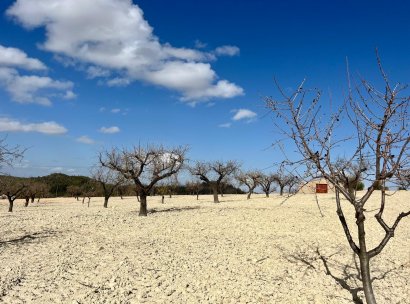 Land · Resale - Bullas · Costa Calida · Murcia / Costa Calida · Spain