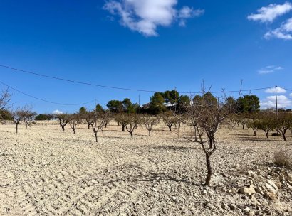 Land · Resale - Bullas · Costa Calida · Murcia / Costa Calida · Spain