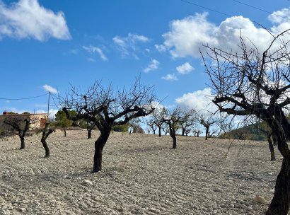Land · Resale - Bullas · Costa Calida · Murcia / Costa Calida · Spain