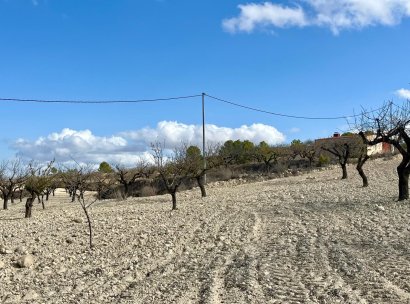 Land · Resale - Bullas · Costa Calida · Murcia / Costa Calida · Spain